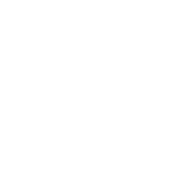 shape-6-1